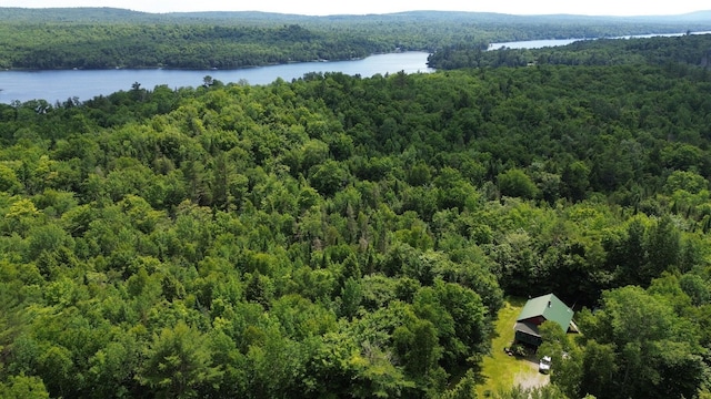 7 Peterson Rd, Bowerbank, ME 04426 - photo 34