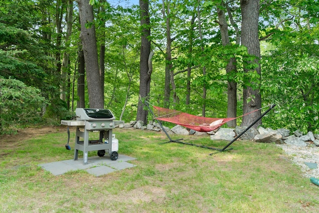 14 Larrys Ldg Unit 14, Ogunquit, ME 03907 - view of yard