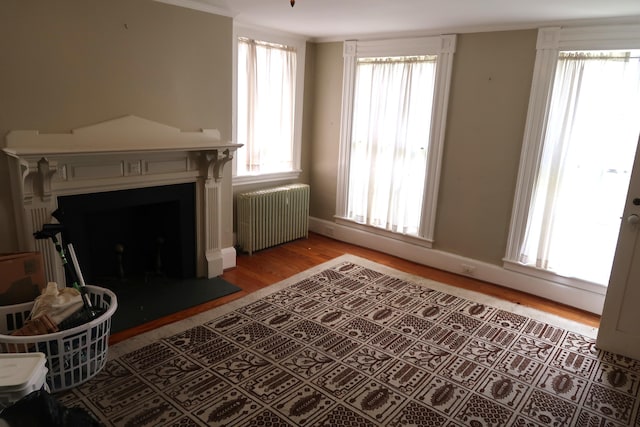 7 Elm St, Augusta, ME 04330 - living room with radiator heating unit, plenty of natural light, light wood-style floors, and baseboards
