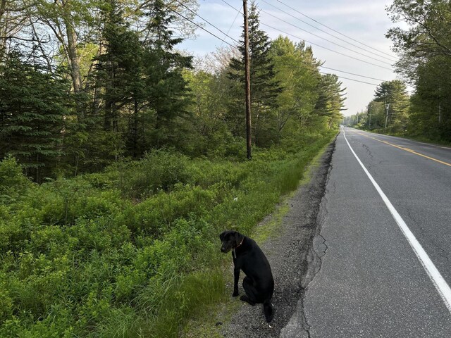 M6L54 Bristol Rd, Bristol, ME 04539