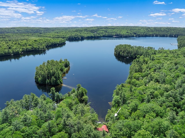 66 Myron Hall Rd, Raymond, ME 04071 - aerial view of a heavily wooded area and a large body of water