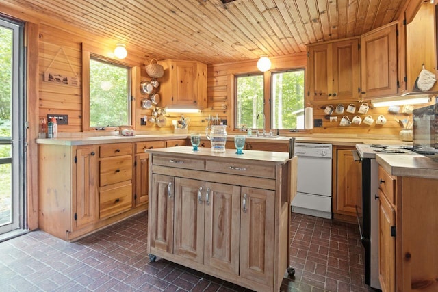 66 Myron Hall Rd, Raymond, ME 04071 - kitchen featuring dishwasher, brick patterned floors, range, plenty of natural light, and wood walls
