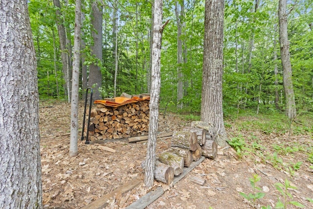 66 Myron Hall Rd, Raymond, ME 04071 - view of yard with a view of trees