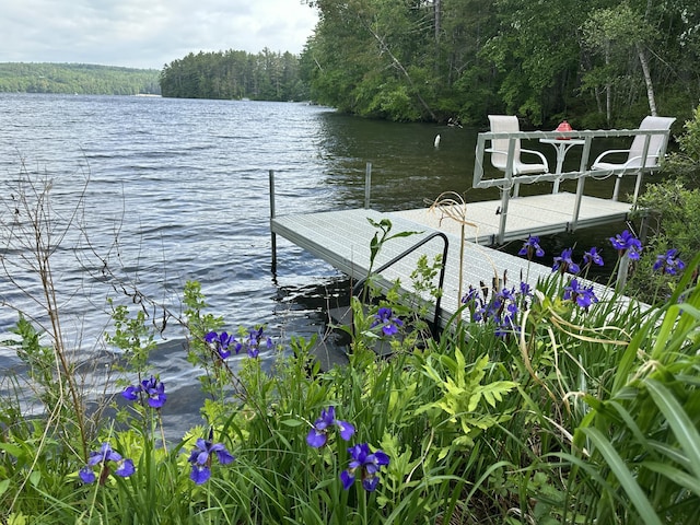 66 Myron Hall Rd, Raymond, ME 04071 - dock featuring a water view and a forest view
