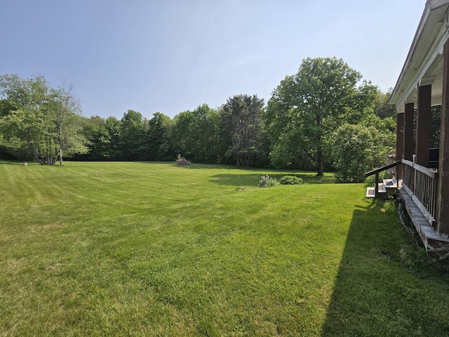 25 Jarvis Gore Dr, Eddington, ME 04428 - view of green lawn