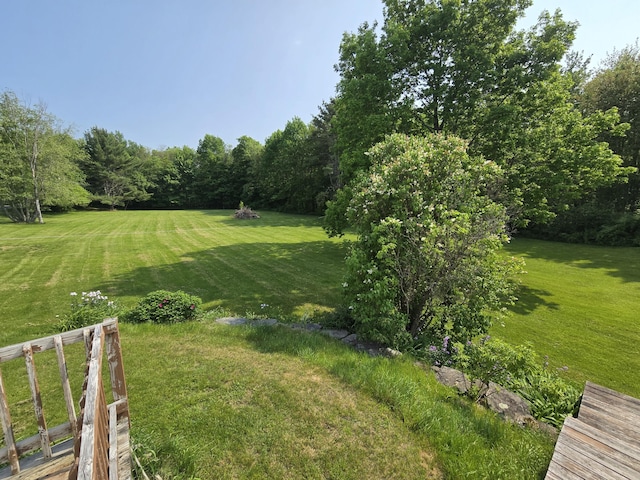 25 Jarvis Gore Dr, Eddington, ME 04428 - view of green lawn