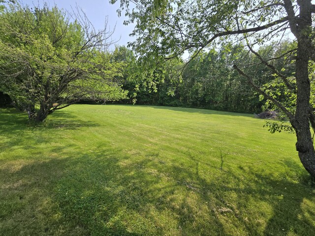 25 Jarvis Gore Dr, Eddington, ME 04428 - view of grassy yard