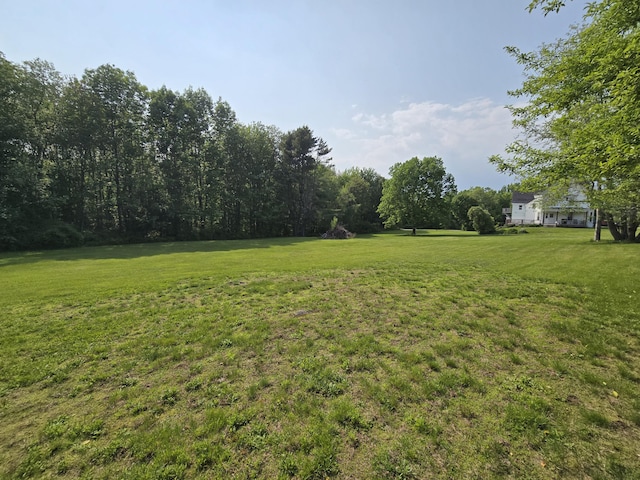 25 Jarvis Gore Dr, Eddington, ME 04428 - view of green lawn