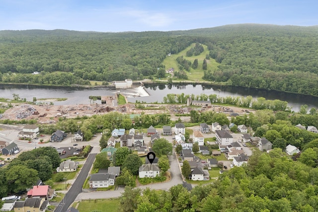 9 Maple St, Jay, ME 04239 - aerial view of residential area featuring a forest and a large body of water