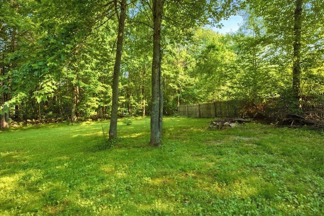 14 Goshen Ln, New Gloucester, ME 04260 - view of yard with a wooded view