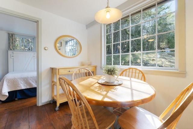 36 Hodgdon Rd, Westport Island, ME 04578 - dining area with dark wood-style floors, plenty of natural light, and baseboards