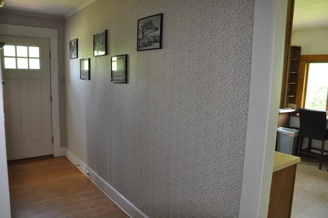 5 Charles St, Orono, ME 04473 - hall featuring wood finished floors, ornamental molding, and baseboards