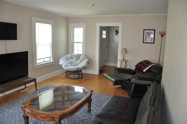 5 Charles St, Orono, ME 04473 - living area featuring crown molding, wood finished floors, and baseboards