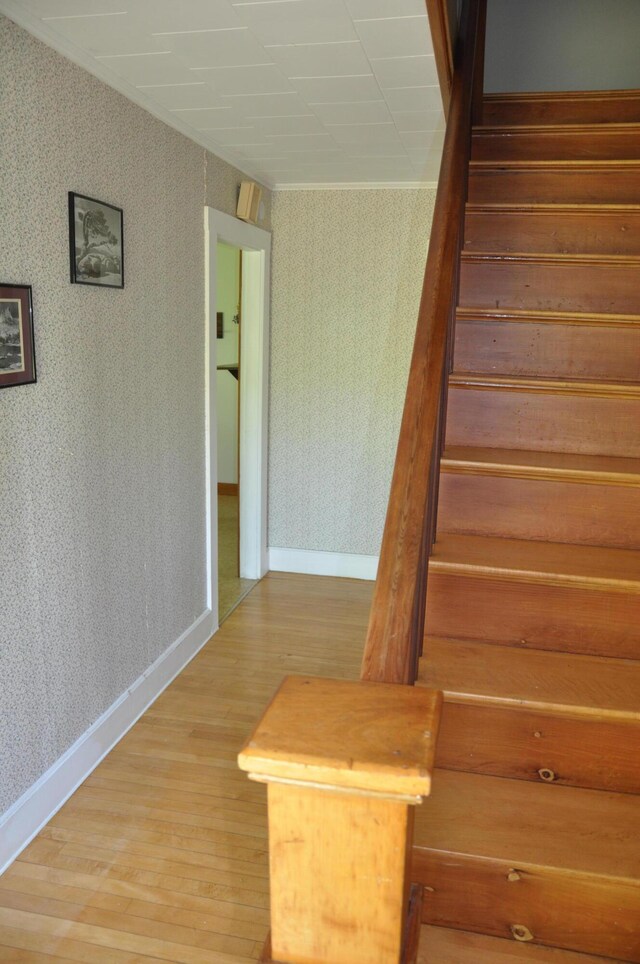 5 Charles St, Orono, ME 04473 - staircase featuring wallpapered walls, wood finished floors, and baseboards