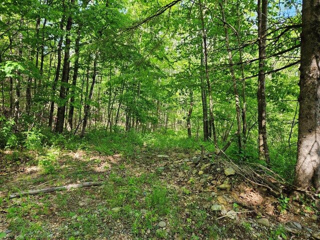 76 Clark Rd, Winterport, ME 04496 - photo 5