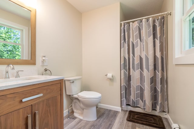 18 Brian Dr, Brewer, ME 04412 - bathroom with toilet, wood finished floors, vanity, baseboards, and a shower with curtain