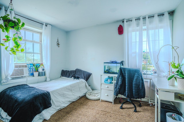 10 Empire Way, Portland, ME 04103 - carpeted bedroom featuring cooling unit