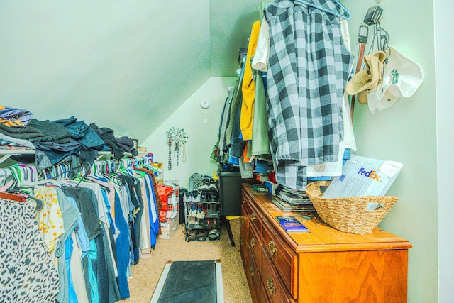 10 Empire Way, Portland, ME 04103 - spacious closet featuring vaulted ceiling