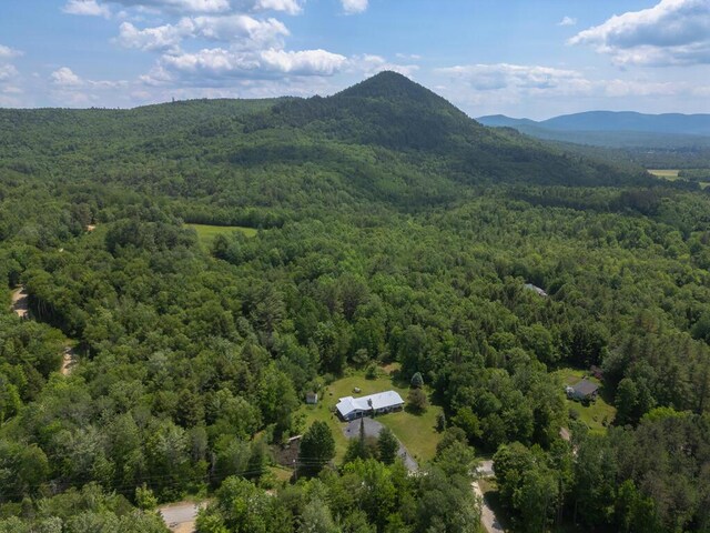 165 Averill Hill Rd, Dixfield, ME 04224 - photo 22