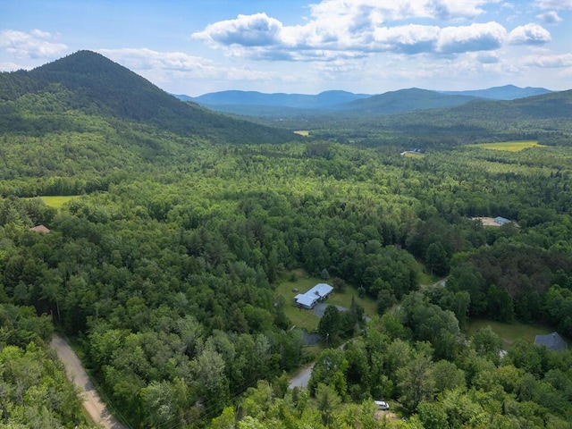 165 Averill Hill Rd, Dixfield, ME 04224 - photo 23