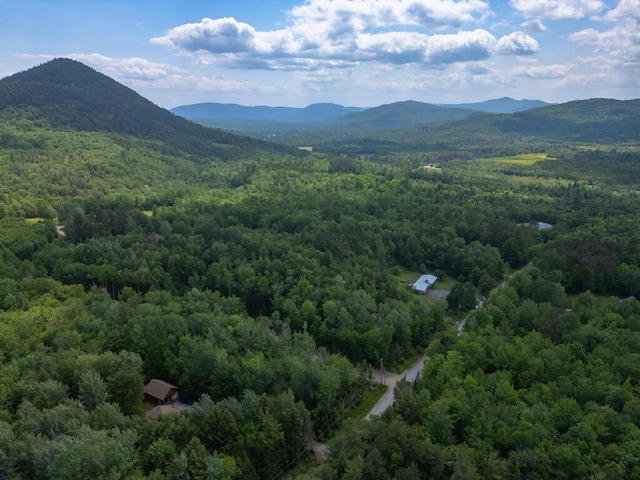 165 Averill Hill Rd, Dixfield, ME 04224 - photo 24