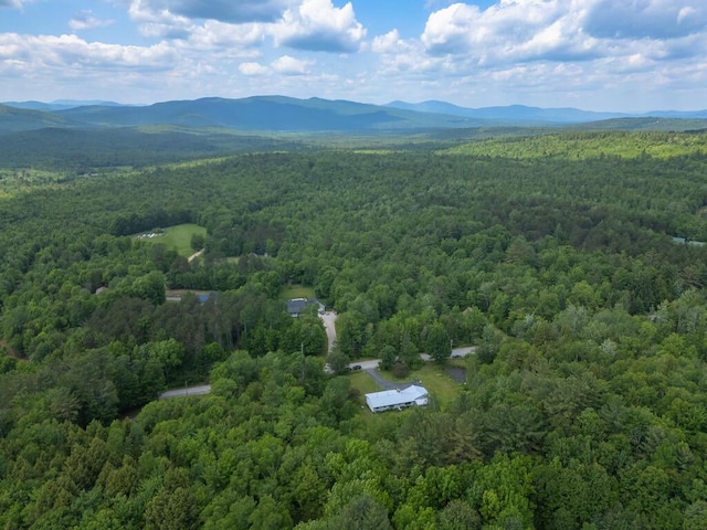 165 Averill Hill Rd, Dixfield, ME 04224 - photo 25