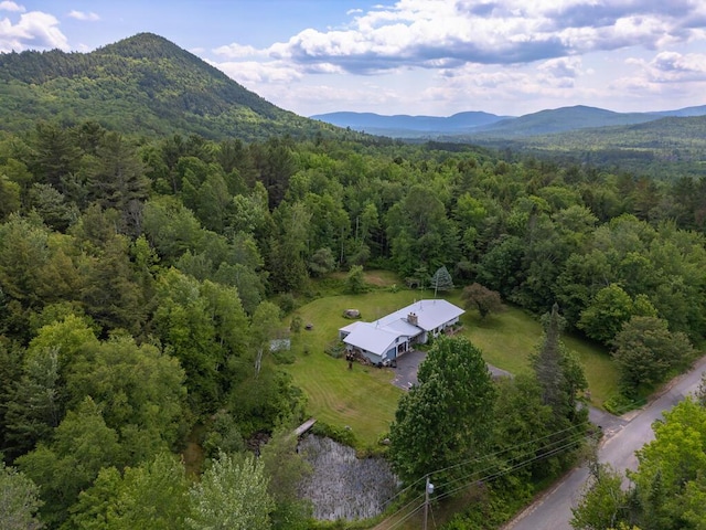 165 Averill Hill Rd, Dixfield, ME 04224 - photo 30