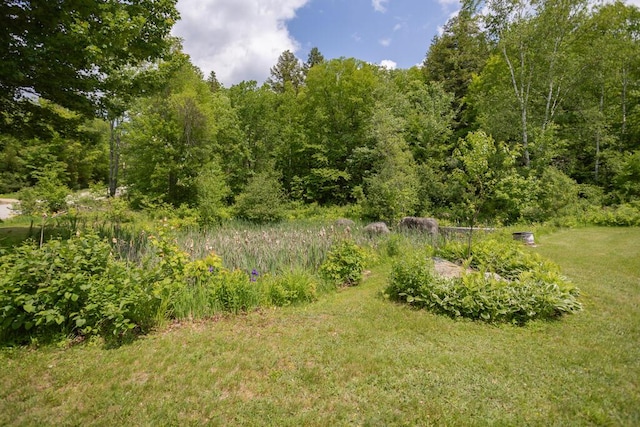 165 Averill Hill Rd, Dixfield, ME 04224 - photo 54