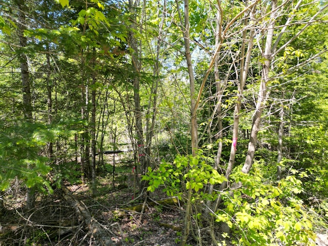LOT5 Fogg Brook Rd, Lowell, ME 04493