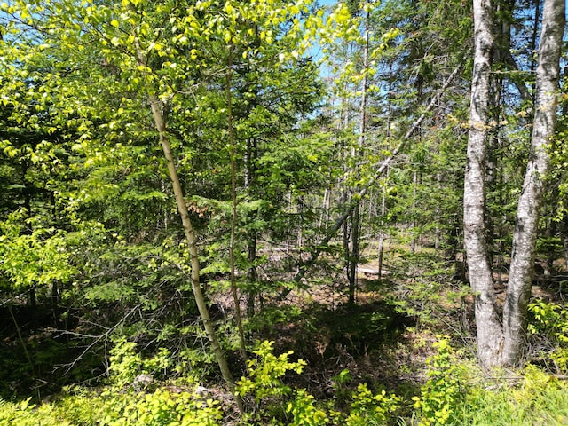 LOT5 Fogg Brook Rd, Lowell, ME 04493