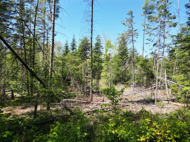 LOT5 Fogg Brook Rd, Lowell, ME 04493