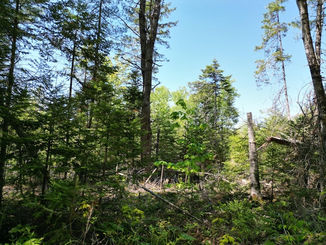 LOT5 Fogg Brook Rd, Lowell, ME 04493