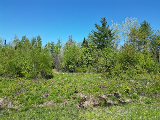 LOT5 Fogg Brook Rd, Lowell, ME 04493