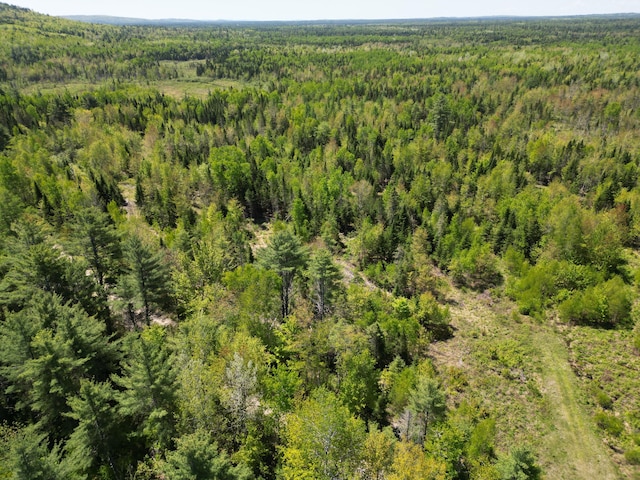 LOT5 Fogg Brook Rd, Lowell, ME 04493