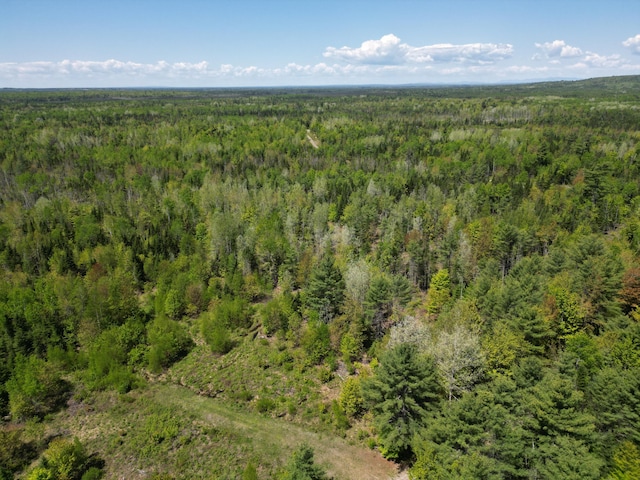 LOT5 Fogg Brook Rd, Lowell, ME 04493
