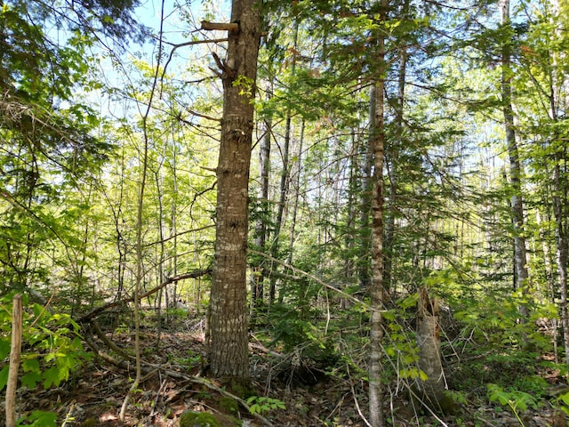 LOT5 Fogg Brook Rd, Lowell, ME 04493