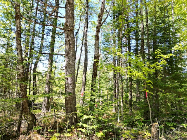 LOT5 Fogg Brook Rd, Lowell, ME 04493