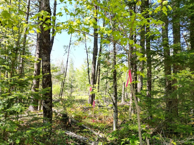 LOT5 Fogg Brook Rd, Lowell, ME 04493