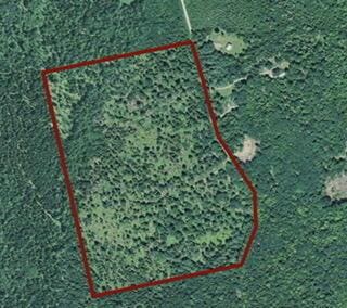 125 Dunham Rd, Etna, ME 04434