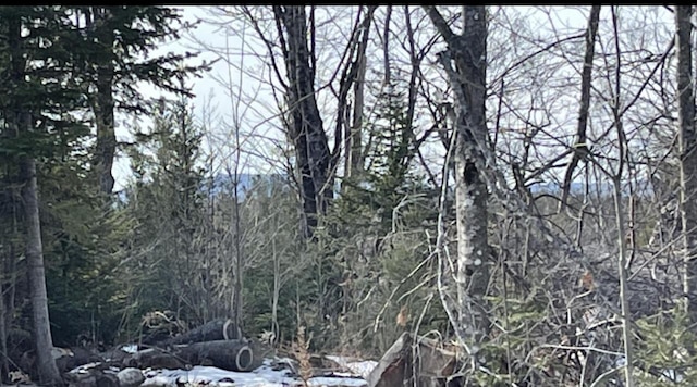 125 Dunham Rd, Etna, ME 04434