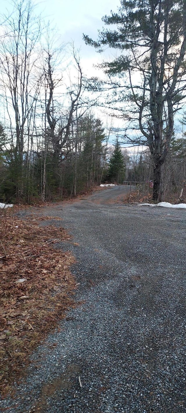 125 Dunham Rd, Etna, ME 04434
