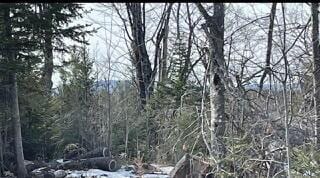 125 Dunham Rd, Etna, ME 04434