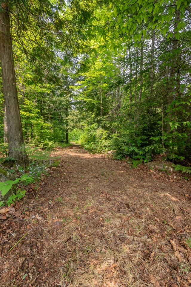 52 Judkins Rd, Harmony, ME 04942 - view of wooded area