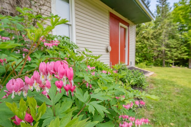 52 Judkins Rd, Harmony, ME 04942 - doorway to property featuring a yard