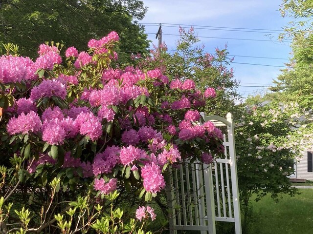 21 Beach Ave, Long Island, ME 04050 - photo 2