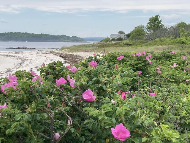 21 Beach Ave, Long Island, ME 04050 - photo 3