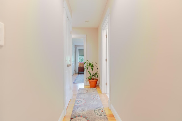 2 Neptune Rd, Old Orchard Beach, ME 04064 - hallway with baseboards and light wood-style floors
