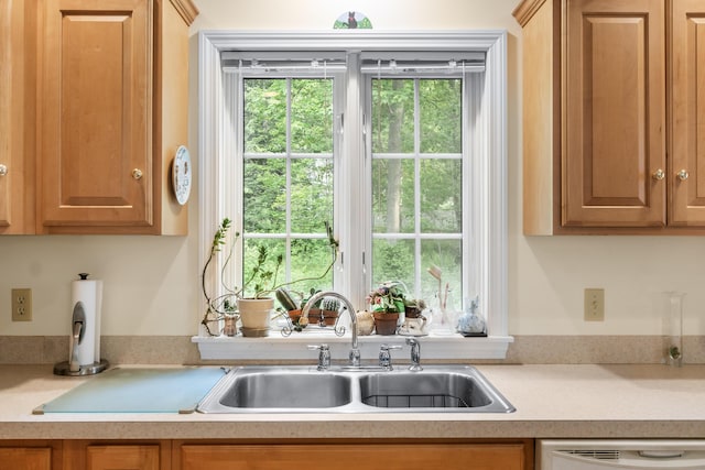 30 Oliver Woods Rd, Nobleboro, ME 04555 - kitchen with a sink, white dishwasher, and light countertops