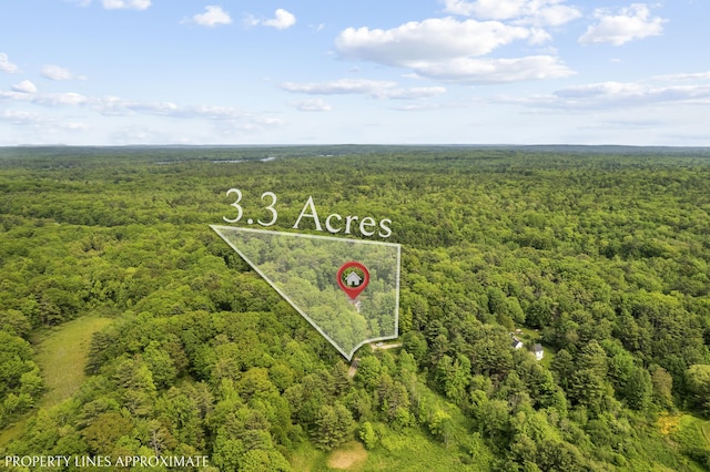 30 Oliver Woods Rd, Nobleboro, ME 04555 - drone / aerial view of a forest