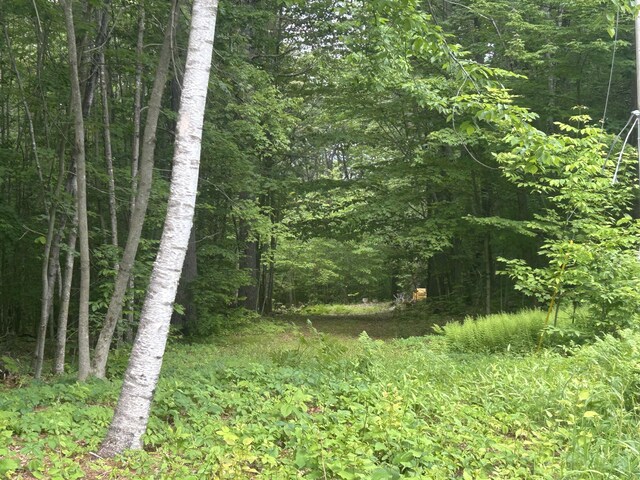 LOT3 Northwoods Ln, Bridgton, ME 04009 - photo 5